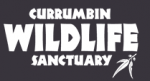 Currumbin Wildlife Sanctuary