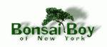 go to Bonsai Boy