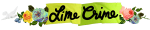 Lime CrimeDiscount Code