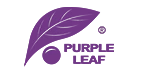 PURPLE LEAF