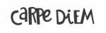 Carpe Diem Planners
